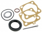 Dichtsatz Pendelachse Radlager  (Basis Kit)  (1Seite)